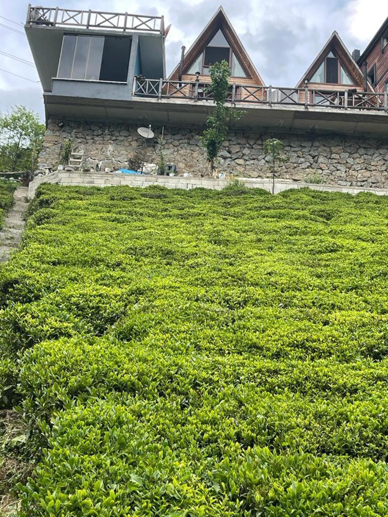 Purkinora (Çiçek Mevsimi) Bungalov Camlihemsin Exterior foto